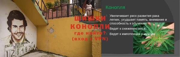 спиды Гусев