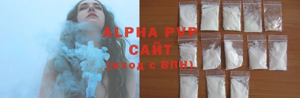 спиды Гусев