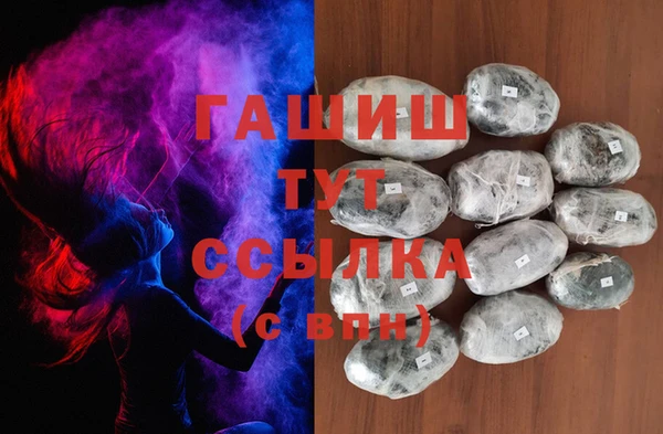 спиды Гусев