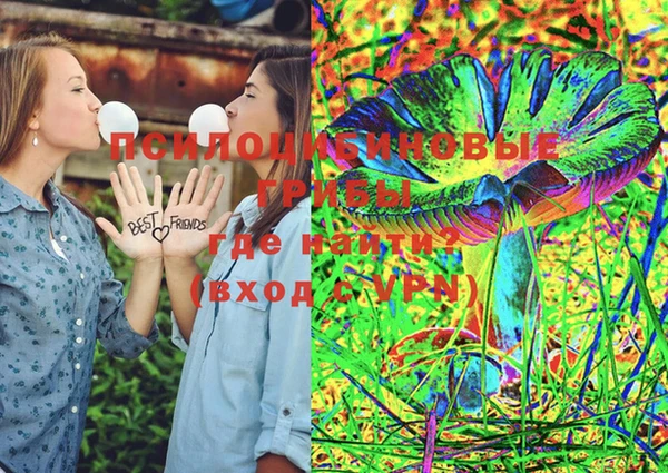 ПСИЛОЦИБИНОВЫЕ ГРИБЫ Гусь-Хрустальный