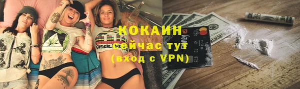 ПСИЛОЦИБИНОВЫЕ ГРИБЫ Гусь-Хрустальный