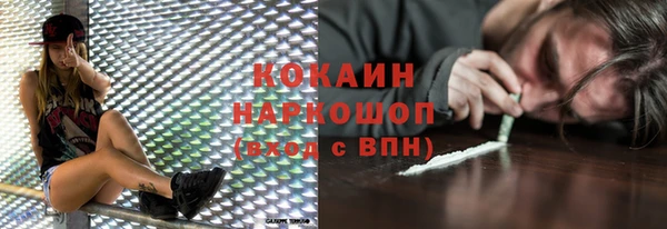 ПСИЛОЦИБИНОВЫЕ ГРИБЫ Гусь-Хрустальный