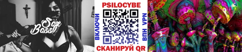как найти наркотики  kraken как войти  Псилоцибиновые грибы MAGIC MUSHROOMS  Юхнов 